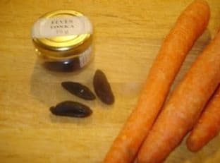Tonka Carrots