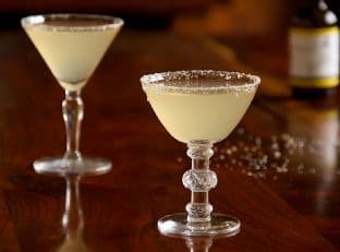 Salty Dog: Not a Surfer or a Pirate